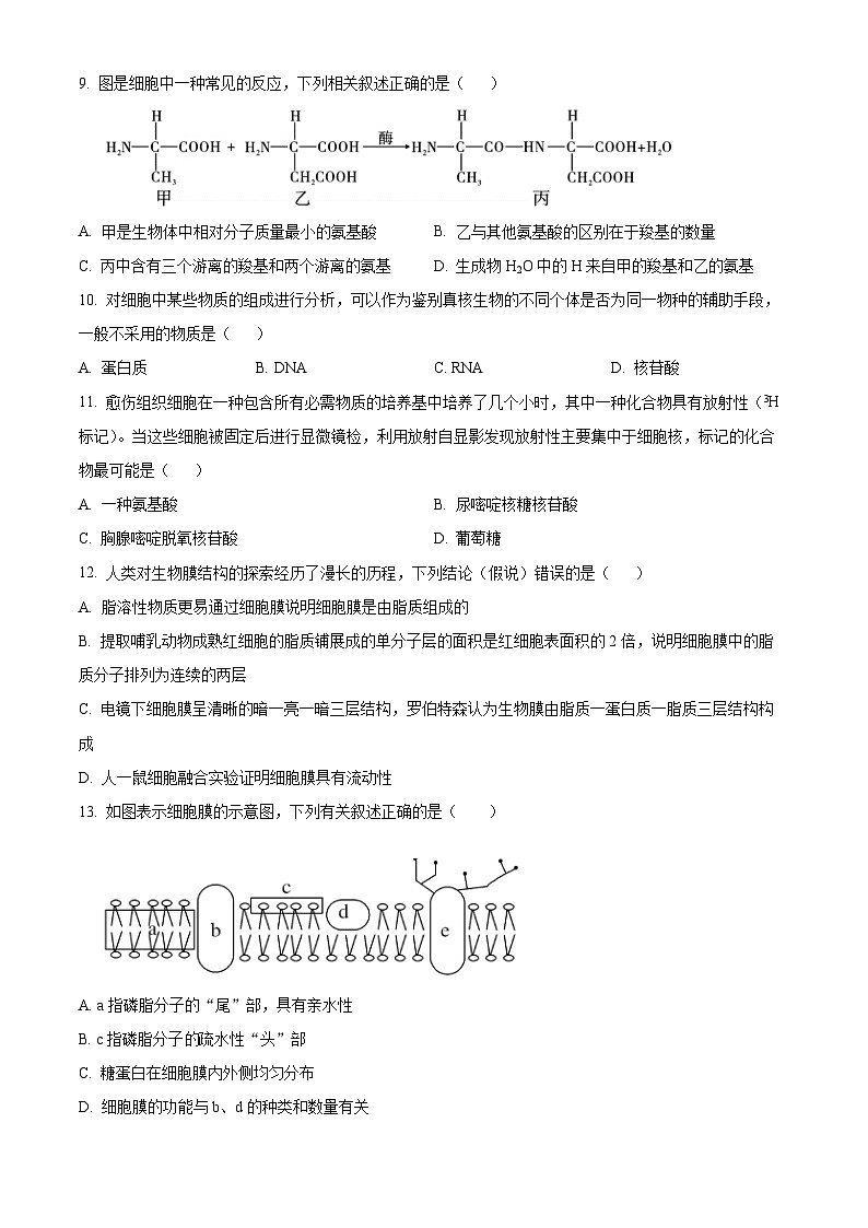 2024-2025学年高一上学期期末考试生物试题02（原卷版）第3页