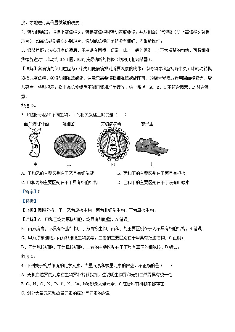 2024-2025学年高一上学期期末考试生物试题02（解析版）第2页