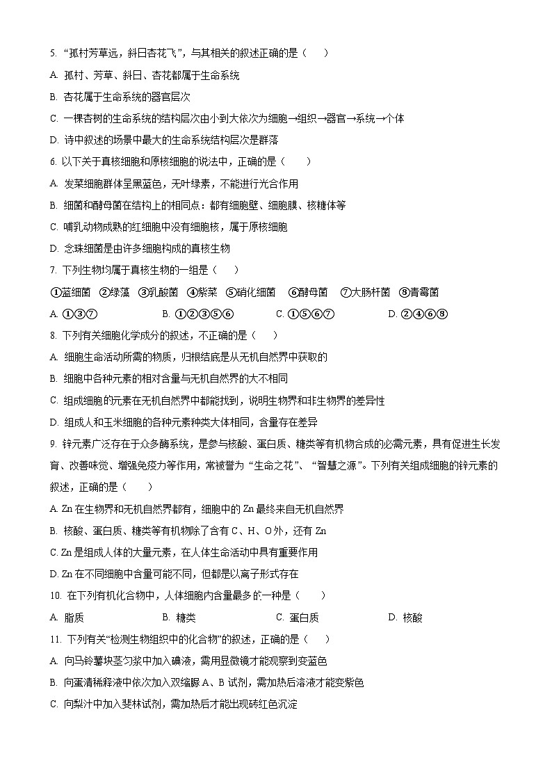广东实验中学珠海金湾学校2024-2025学年高一上学期10月月考生物试题02
