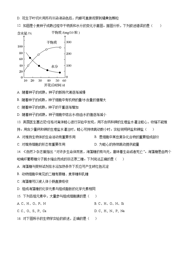 广东实验中学珠海金湾学校2024-2025学年高一上学期10月月考生物试题03