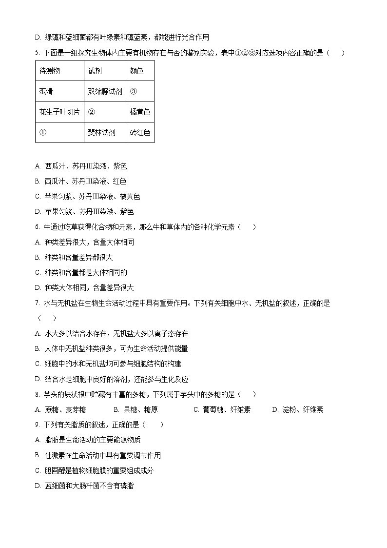 贵州省六盘水市纽绅中学2024-2025学年高一上学期10月月考生物试题02