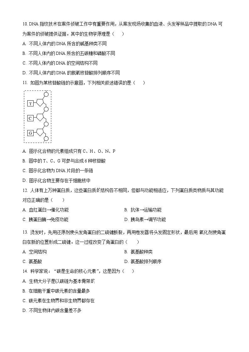 贵州省六盘水市纽绅中学2024-2025学年高一上学期10月月考生物试题03