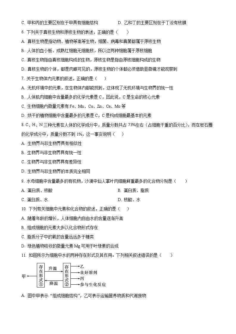 四川省泸州市龙马高中2024-2025学年高一上学期第一次月考生物试题（原卷版）第2页