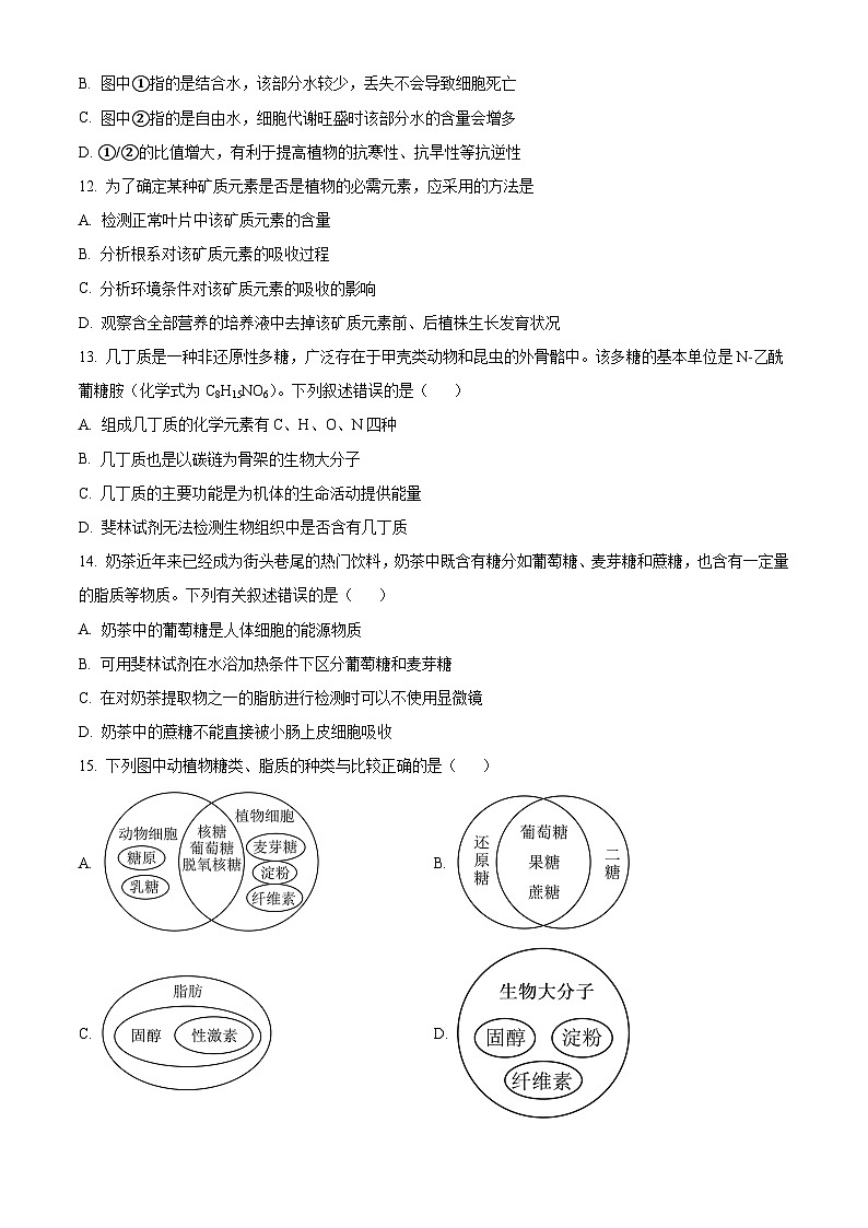 四川省泸州市龙马高中2024-2025学年高一上学期第一次月考生物试题（原卷版）第3页