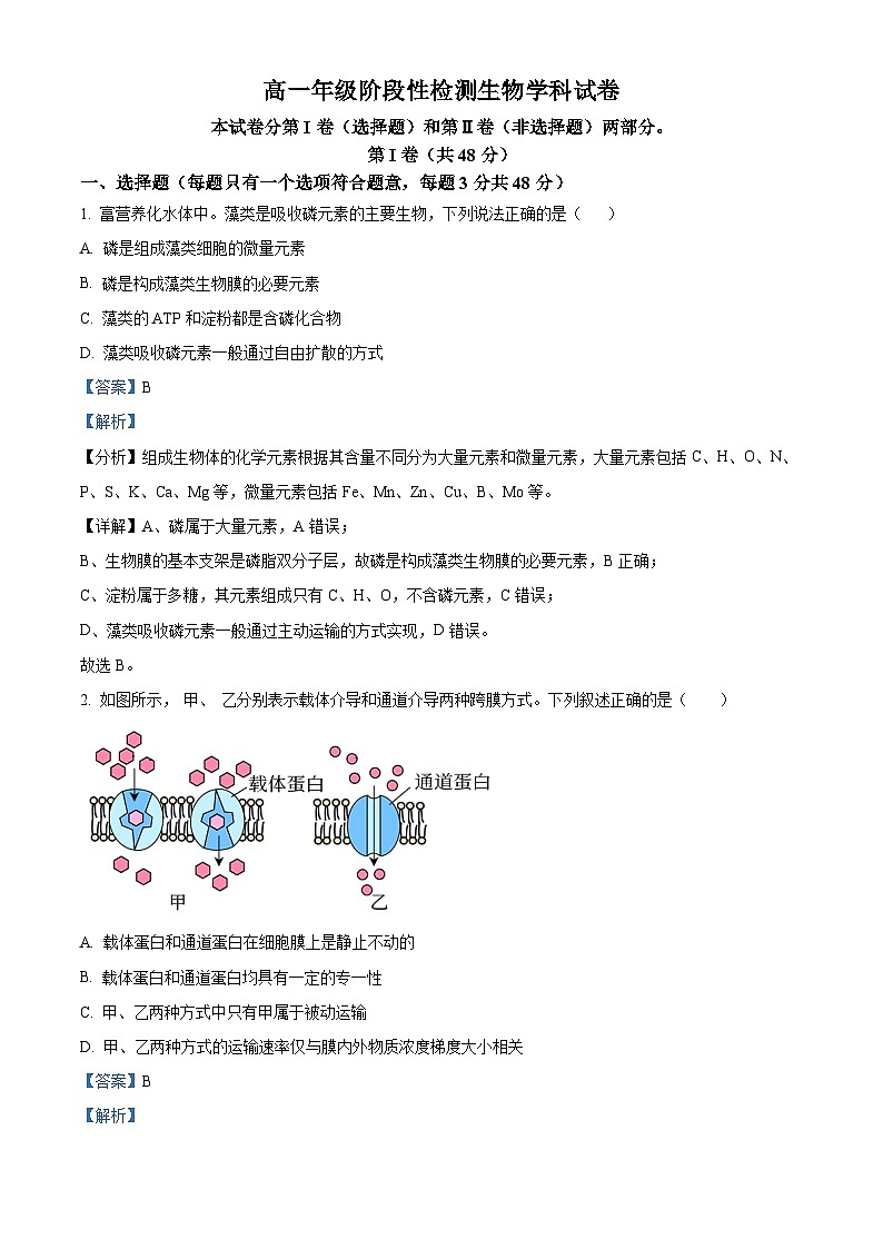天津市九十六中学2024-2025学年高一上学期第二次月考生物试卷（解析版）第1页