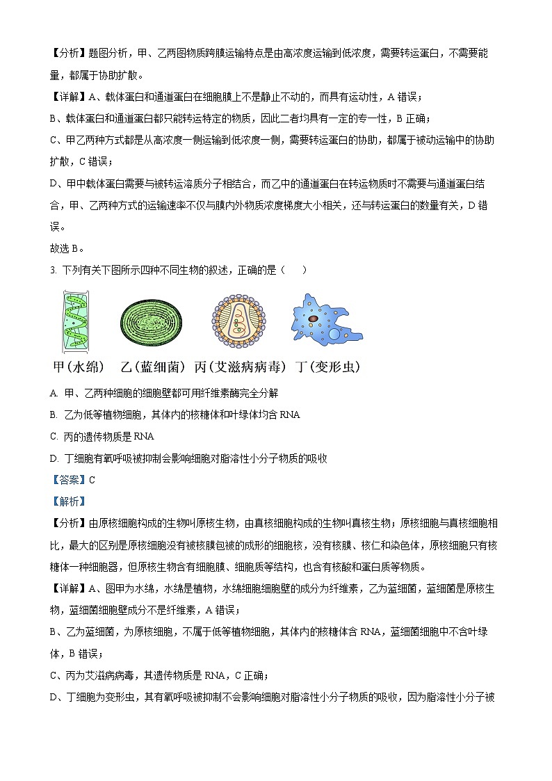 天津市九十六中学2024-2025学年高一上学期第二次月考生物试卷（解析版）第2页