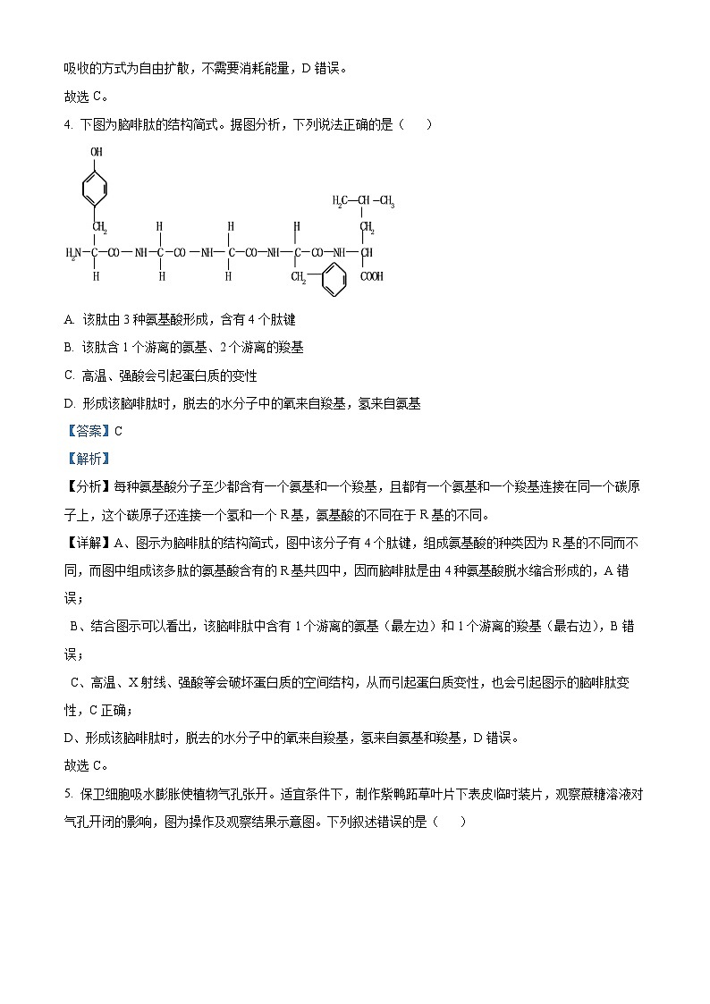天津市九十六中学2024-2025学年高一上学期第二次月考生物试卷（解析版）第3页