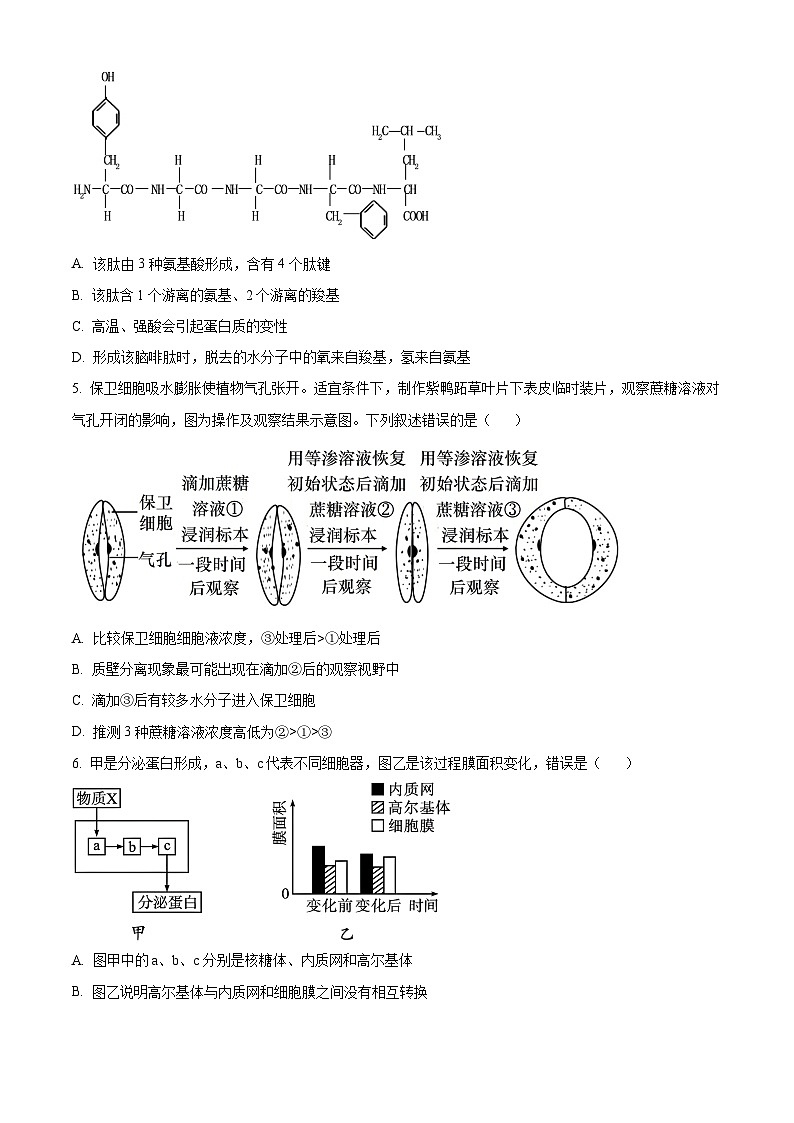 天津市九十六中学2024-2025学年高一上学期第二次月考生物试卷（原卷版）第2页