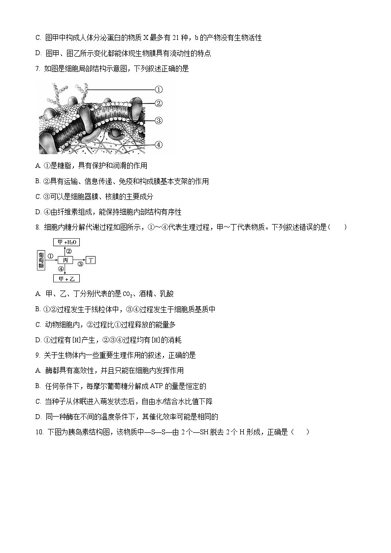 天津市九十六中学2024-2025学年高一上学期第二次月考生物试卷（原卷版）第3页