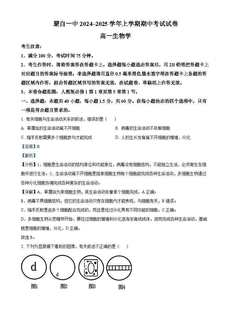云南省蒙自市第一高级中学等校2024-2025学年高一上学期期中联考生物试题01