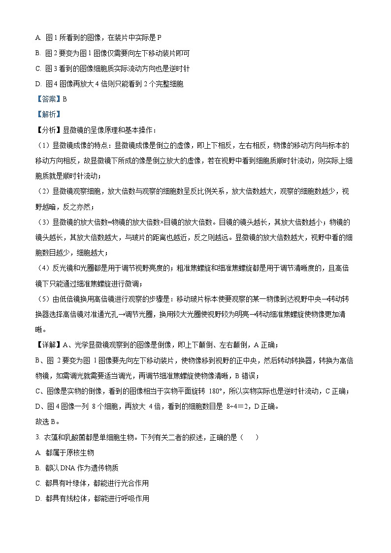 云南省蒙自市第一高级中学等校2024-2025学年高一上学期期中联考生物试题02
