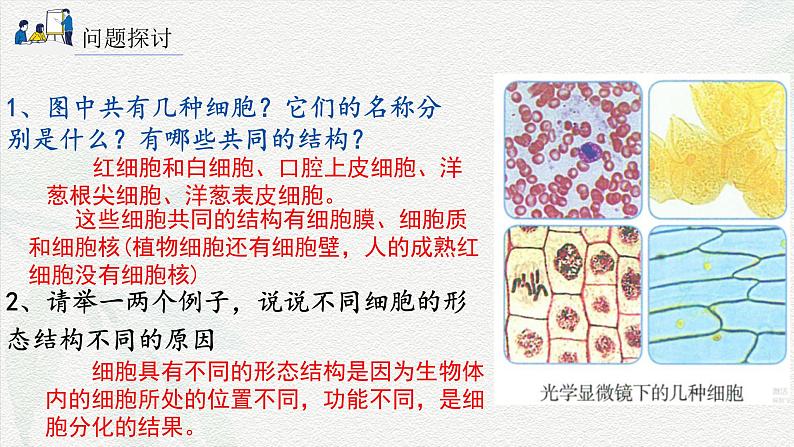 1.2 细胞的多样性和统一性-2024-2025学年高一生物同步课件（人教版2019必修1）02