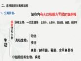 1.2 细胞的多样性和统一性-2024-2025学年高一生物同步课件（人教版2019必修1）