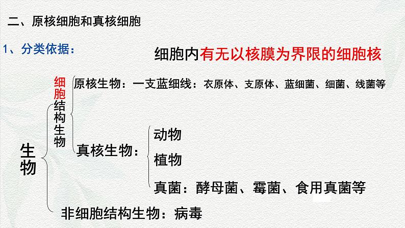 1.2 细胞的多样性和统一性-2024-2025学年高一生物同步课件（人教版2019必修1）04