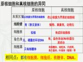 1.2 细胞的多样性和统一性-2024-2025学年高一生物同步课件（人教版2019必修1）