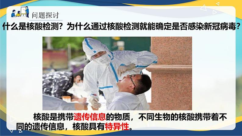 2.5 核酸是遗传信息的携带者-2024-2025学年高一生物同步课件（人教版2019必修1）第1页