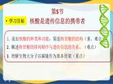 2.5 核酸是遗传信息的携带者-2024-2025学年高一生物同步课件（人教版2019必修1）