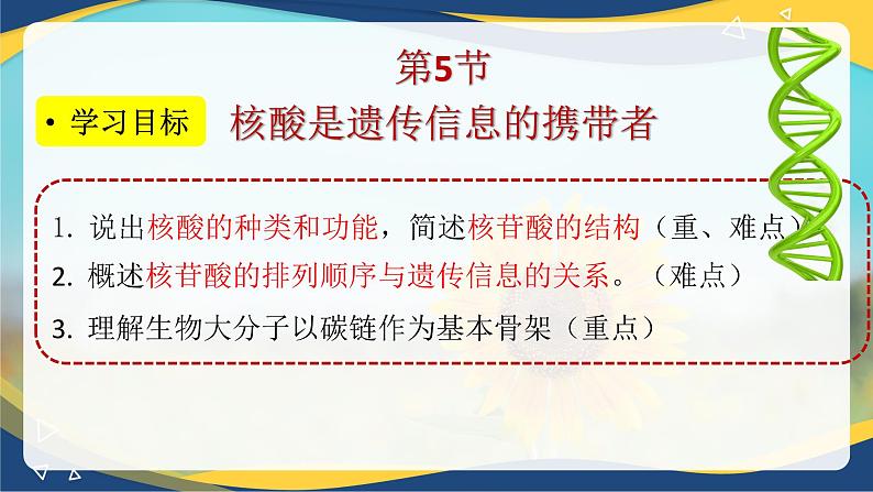 2.5 核酸是遗传信息的携带者-2024-2025学年高一生物同步课件（人教版2019必修1）第2页