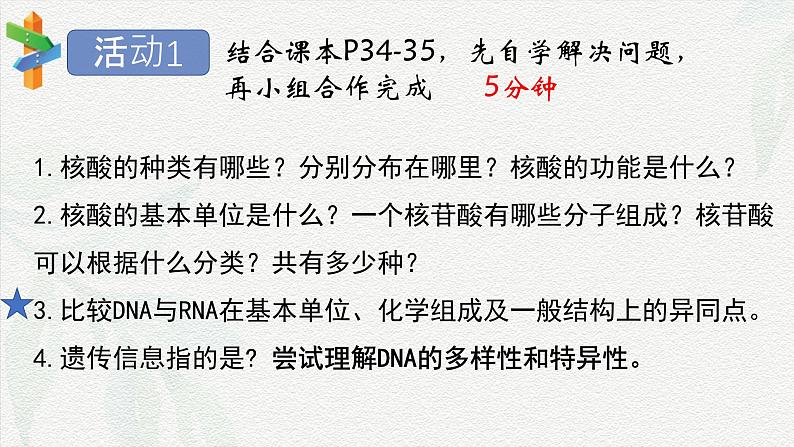 2.5 核酸是遗传信息的携带者-2024-2025学年高一生物同步课件（人教版2019必修1）第3页