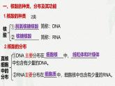 2.5 核酸是遗传信息的携带者-2024-2025学年高一生物同步课件（人教版2019必修1）