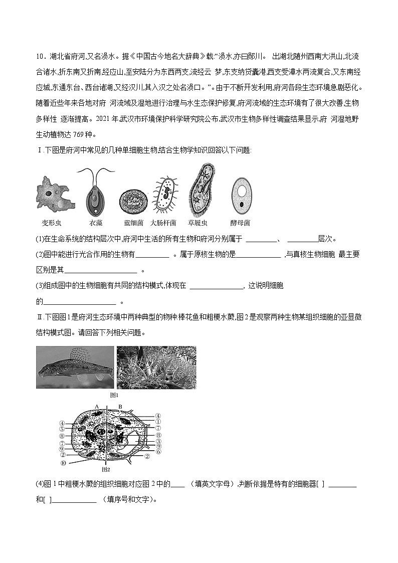 3.2.1 细胞器之间的分工（原卷版）第3页