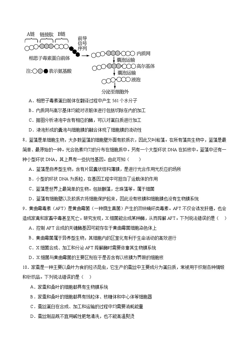 3.2.2 细胞器之间的协调配合（原卷版）第3页