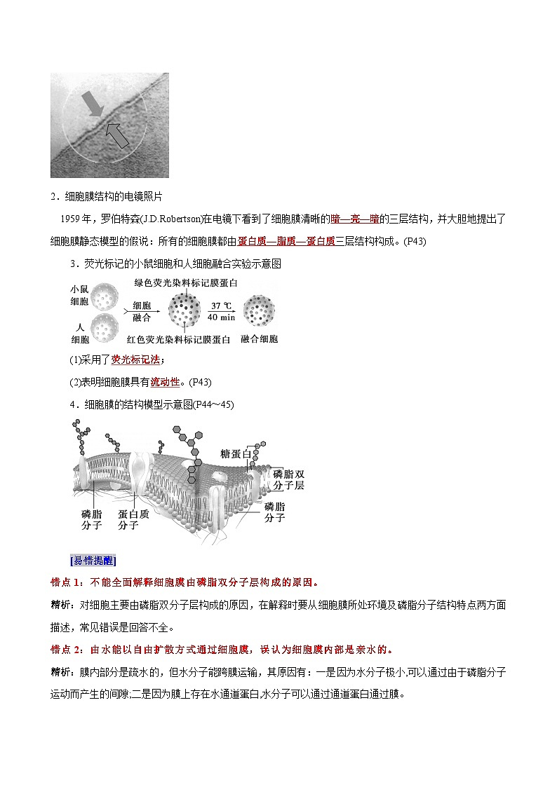第3章 细胞的基本结构-备战2025年高考生物一轮复习必背知识点讲义02