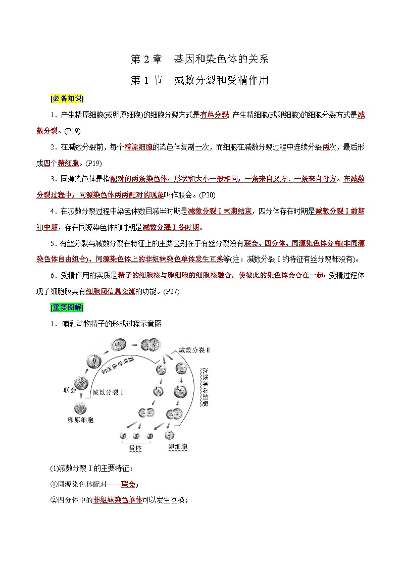 第2章 基因和染色体的关系（背诵版）第1页