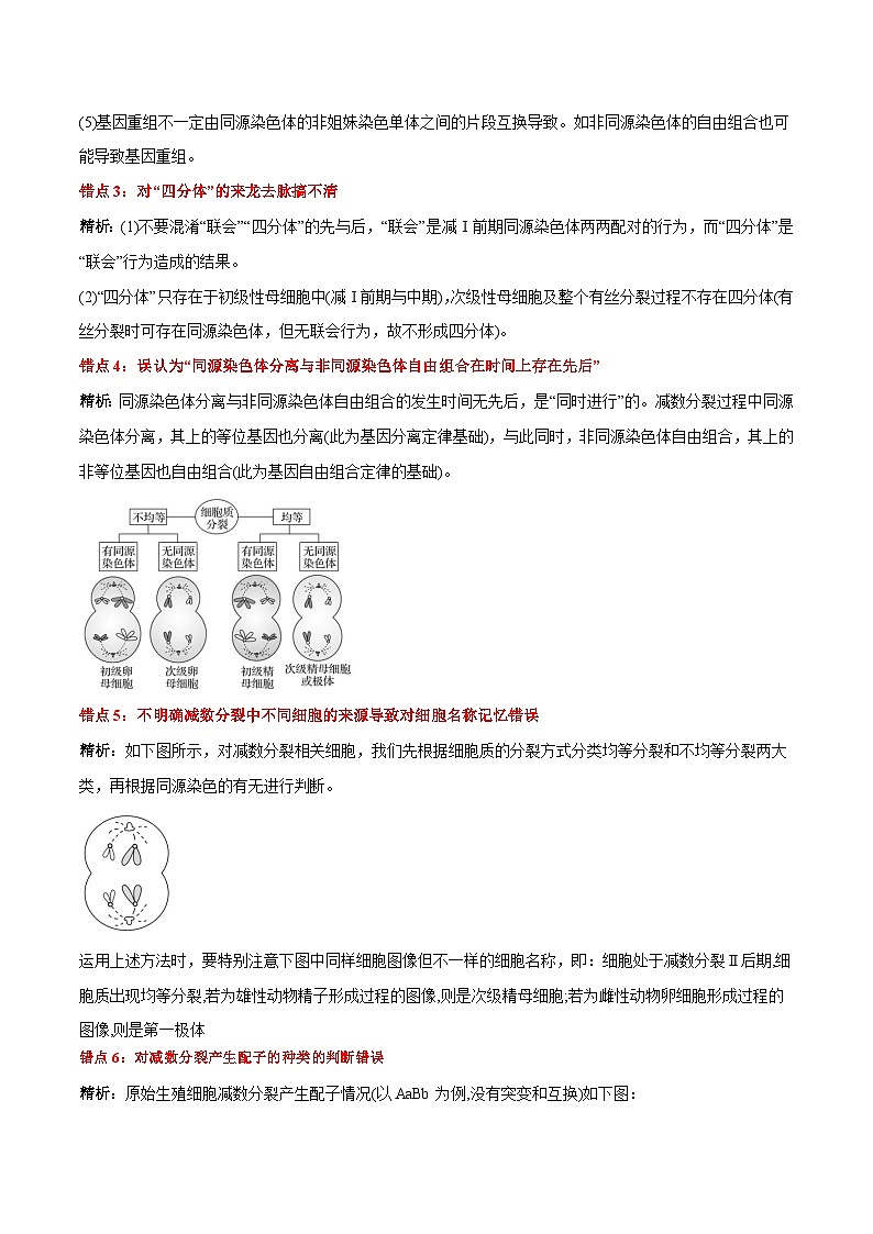 第2章 基因和染色体的关系（背诵版）第3页