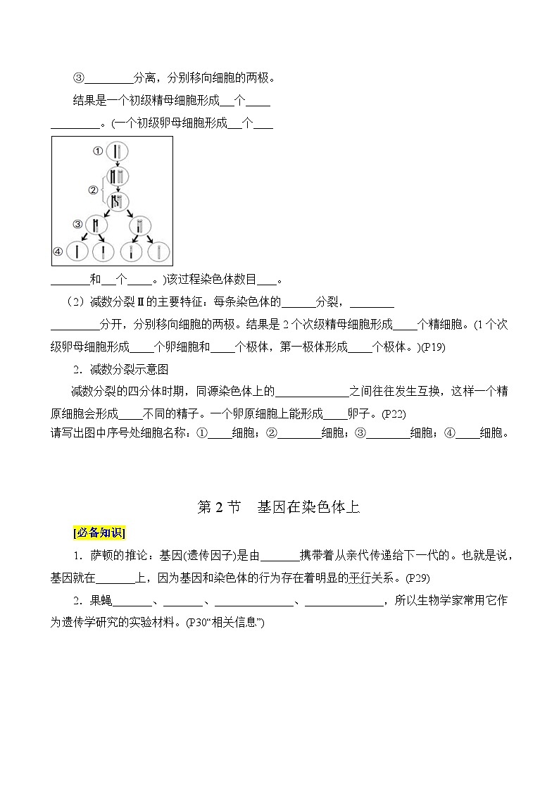 第2章 基因和染色体的关系（填空版）第2页