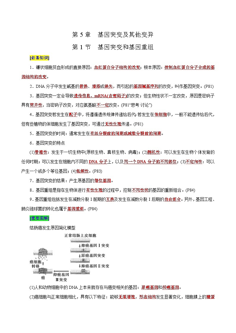 第5章 基因突变及其他变异（背诵版）第1页