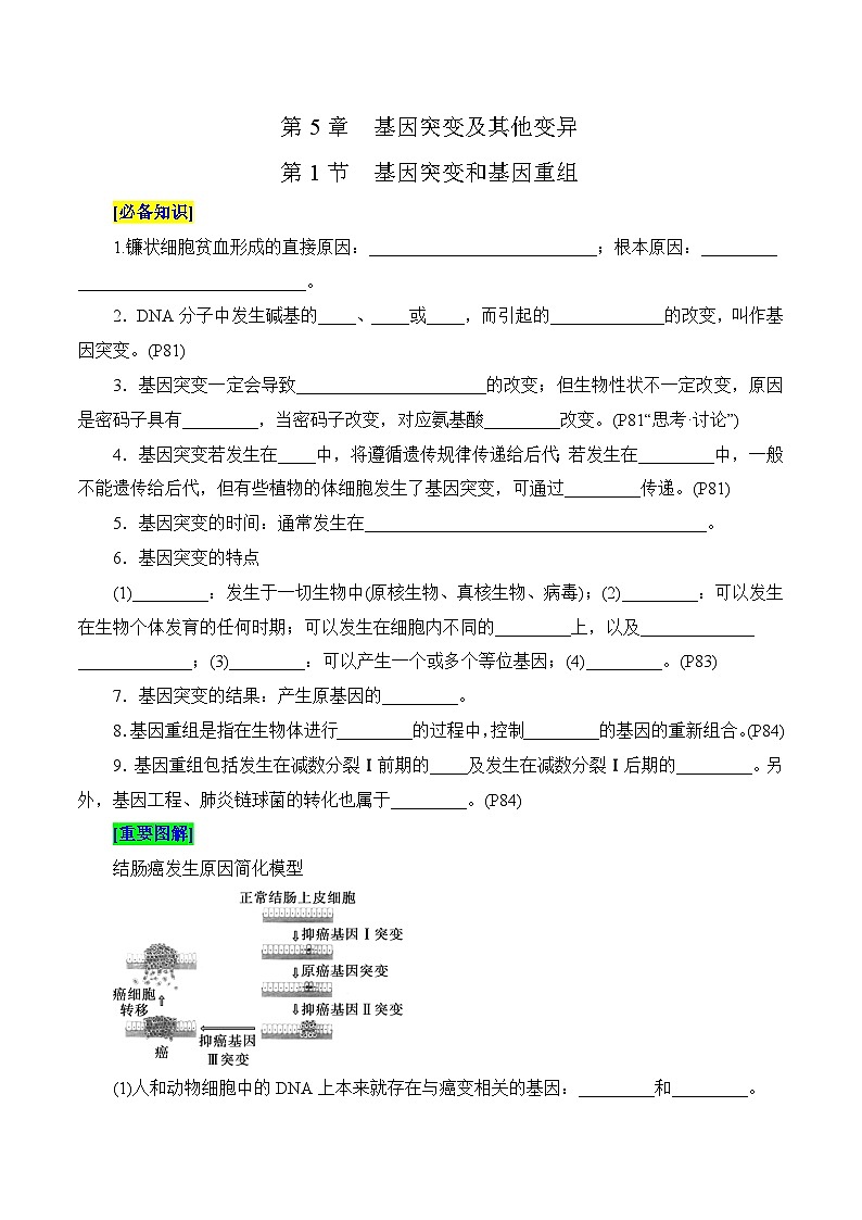 第5章 基因突变及其他变异（填空版）第1页