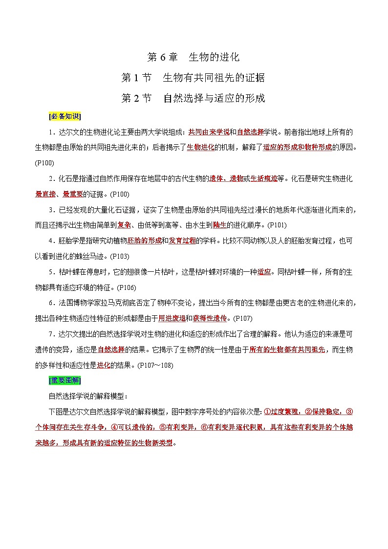 第6章 生物的进化（背诵版）第1页