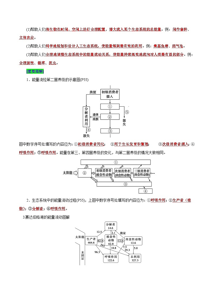 第3章 生态系统及其稳定性（背诵版）第3页