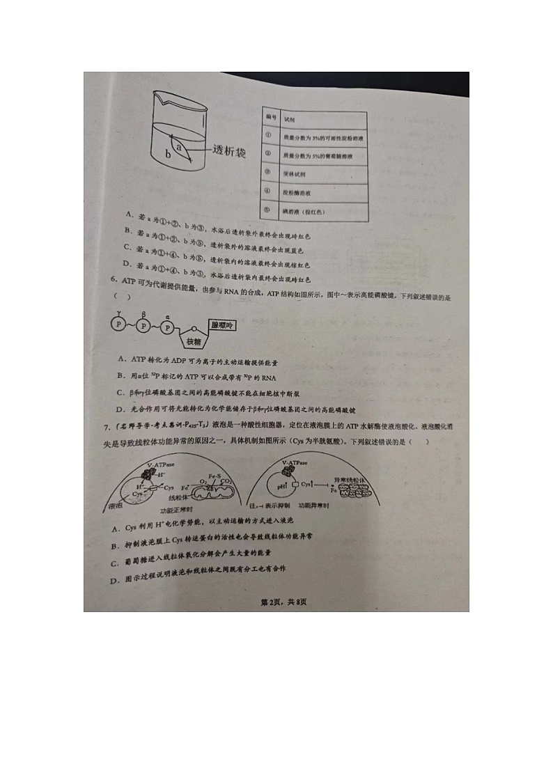 湖南省邵东市第一中学2024-2025学年高三上学期第二次月考生物试题02