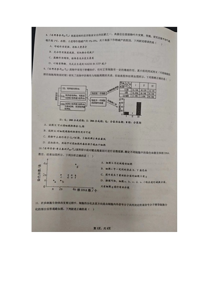 湖南省邵东市第一中学2024-2025学年高三上学期第二次月考生物试题03