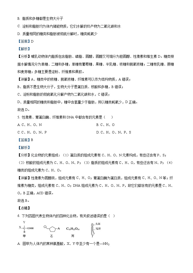 2024-2025学年高一上学期12月月考生物试题（解析版）第3页