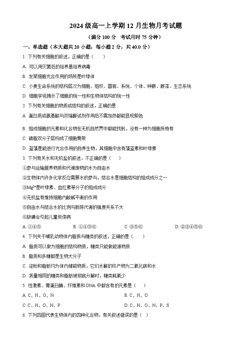 2024-2025学年高一上学期12月月考生物试题（原卷版）第1页