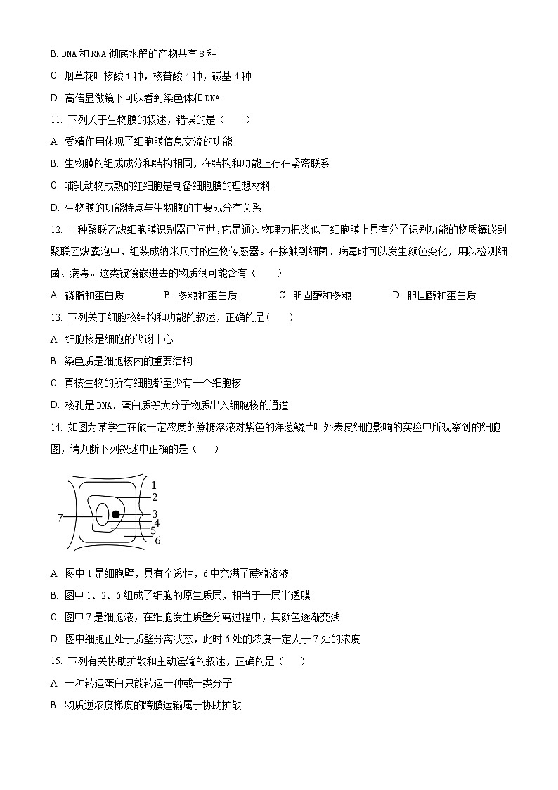2024-2025学年高一上学期12月月考生物试题（原卷版）第3页