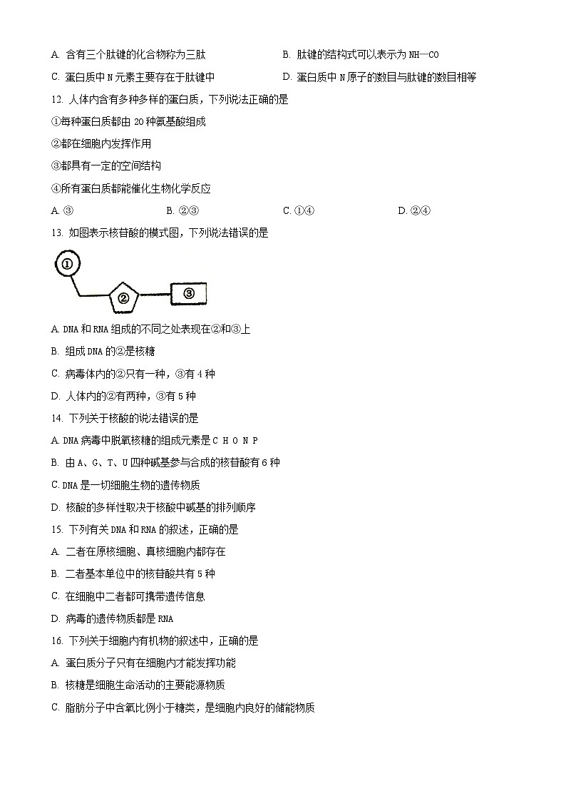 甘肃省临夏回族自治州广河中学2024-2025学年高一上学期期中生物试题（原卷版）第3页