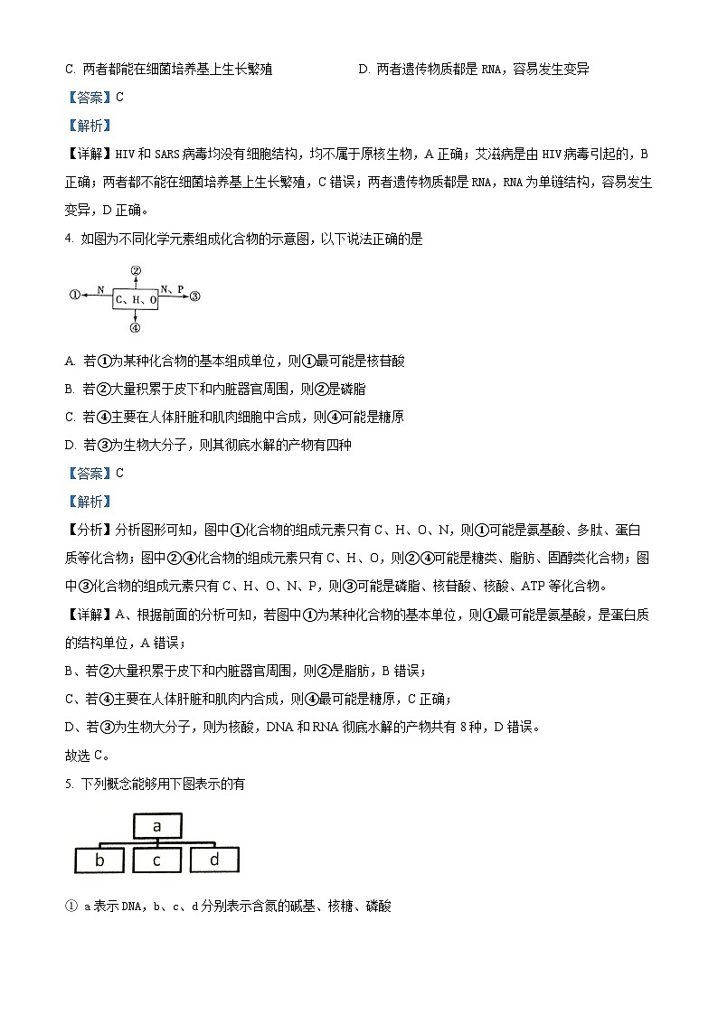 甘肃省临夏回族自治州广河中学2024-2025学年高一上学期期中生物试题（解析版）第2页