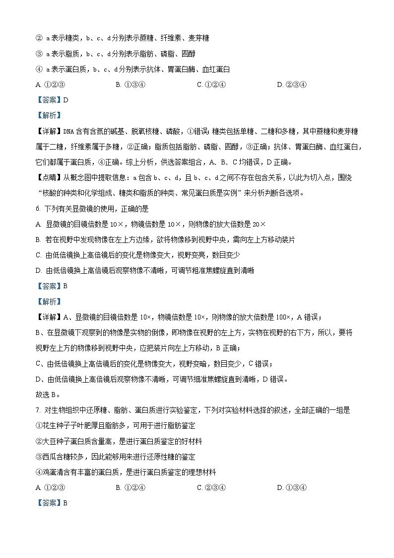 甘肃省临夏回族自治州广河中学2024-2025学年高一上学期期中生物试题（解析版）第3页