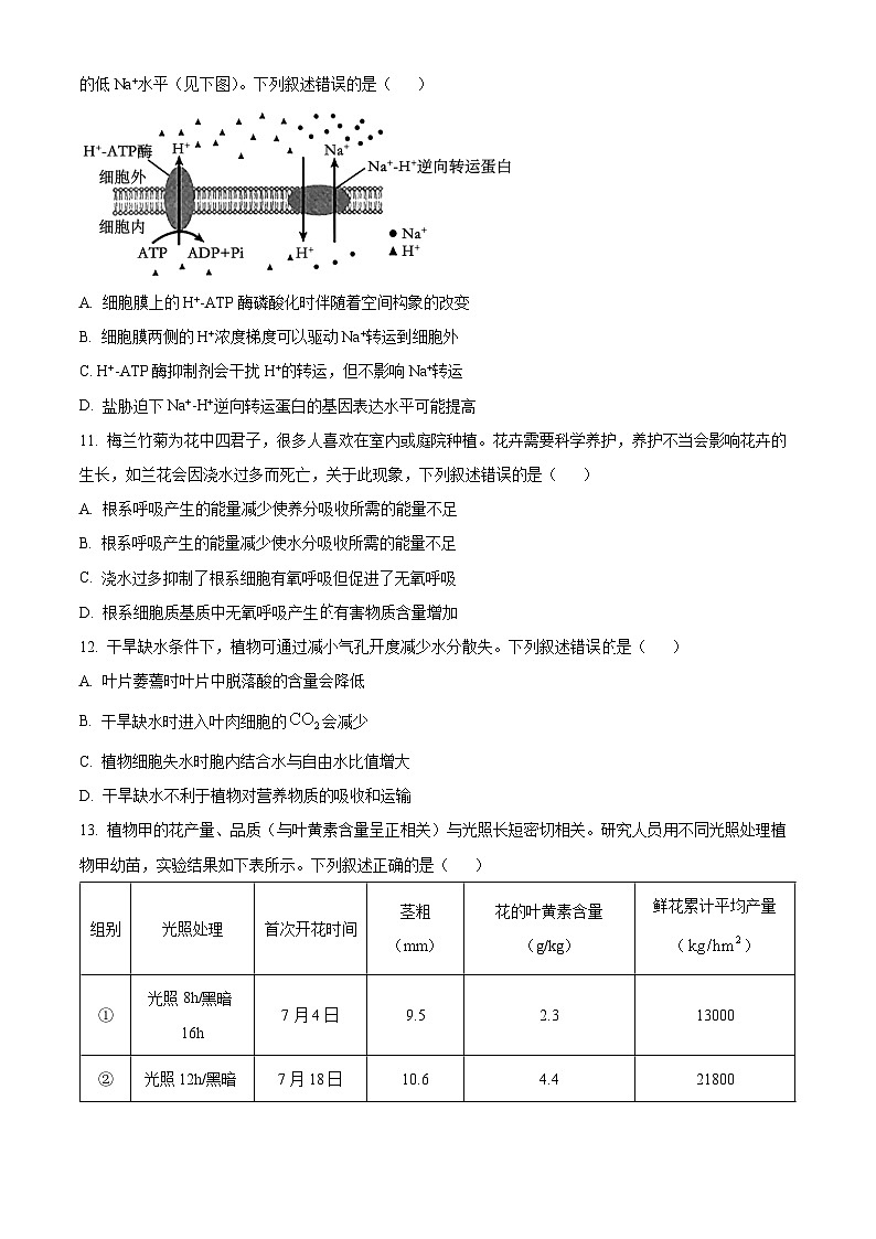 安徽省滁州市定远县育才学校2024-2025学年高三上学期模拟生物（必修一）试卷（Word版附解析）03