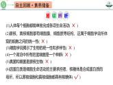 专题1.1 借助显微镜走近细胞（课件）-2025年高考生物一轮复习考点归类（新高考通用）