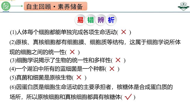 专题1.1 借助显微镜走近细胞（课件）-2025年高考生物一轮复习考点归类（新高考通用）第3页