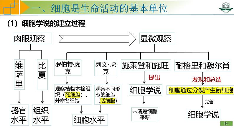 专题1.1 借助显微镜走近细胞（课件）-2025年高考生物一轮复习考点归类（新高考通用）第6页