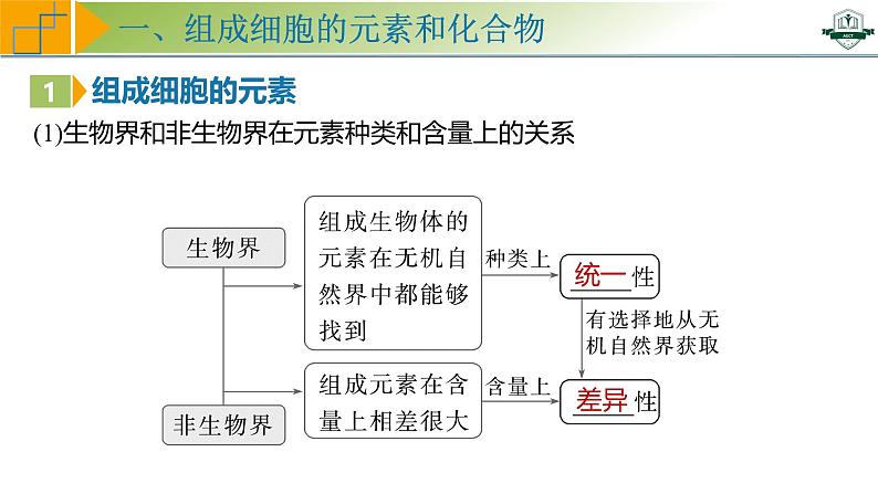 专题1.2 组成细胞的元素和化合物（课件）-2025年高考生物一轮复习考点归类（新高考通用）第6页