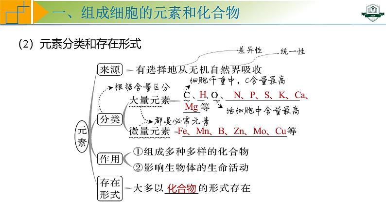 专题1.2 组成细胞的元素和化合物（课件）-2025年高考生物一轮复习考点归类（新高考通用）第7页