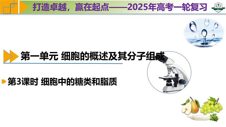 专题1.3 细胞中的糖类和脂质（课件）-2025年高考生物一轮复习考点归类（新高考通用）01