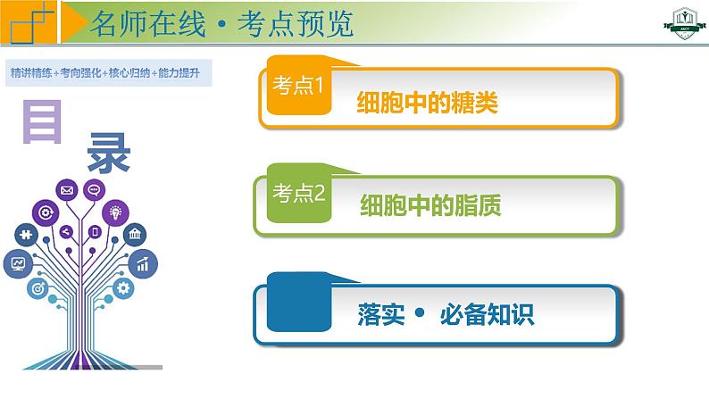 专题1.3 细胞中的糖类和脂质（课件）-2025年高考生物一轮复习考点归类（新高考通用）04